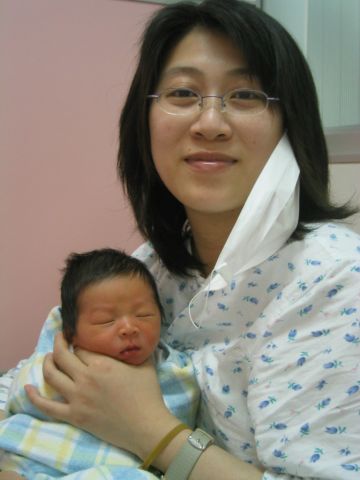 334x454 pixels (29K)